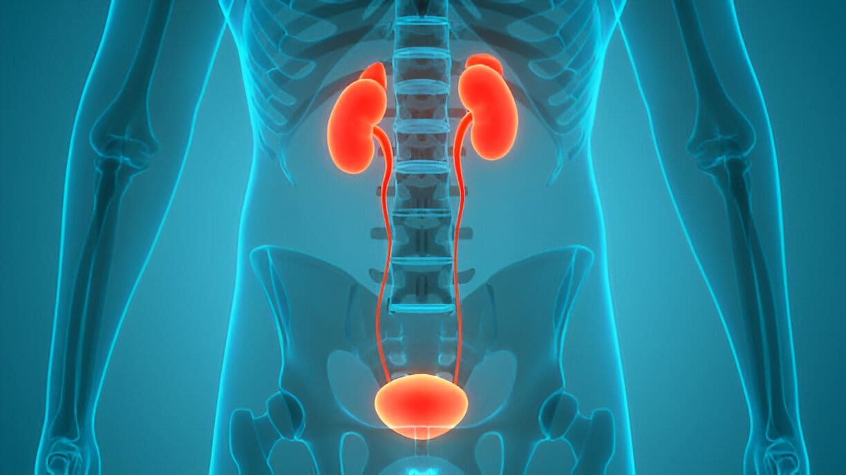 Urinary Tract Infection Treatment in Homeopathy Thumbnail